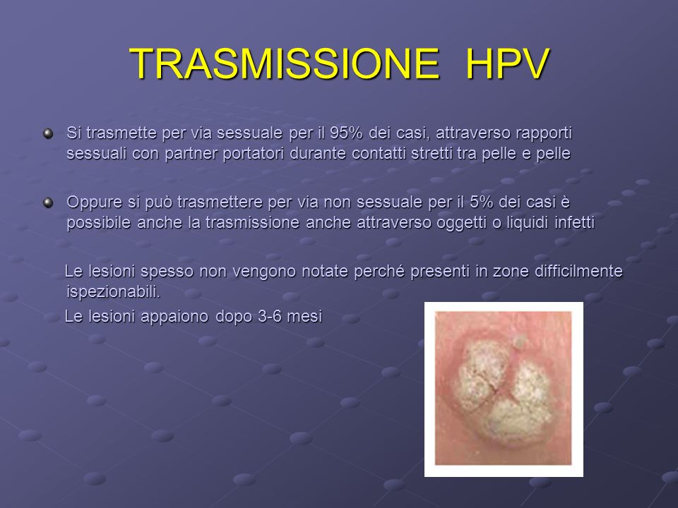 hpv papilloma virus trasmissione viermi în scaunul uman