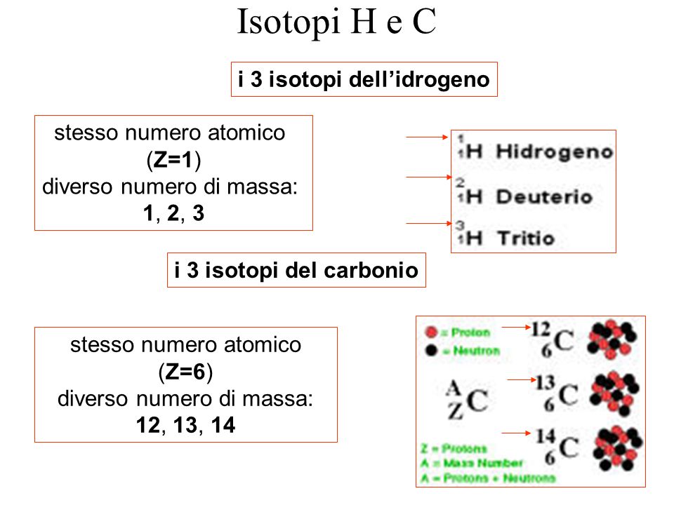 Isotopi H e C i 3 isotopi dell’idrogeno stesso numero atomico (Z=1)