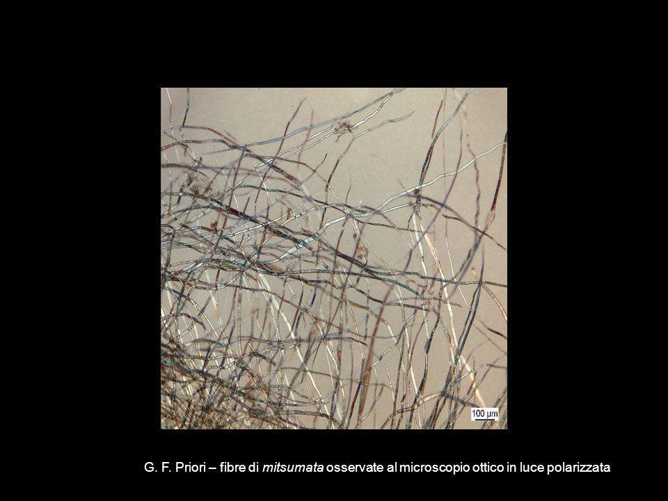 G. F. Priori – fibre di mitsumata osservate al microscopio ottico in luce polarizzata