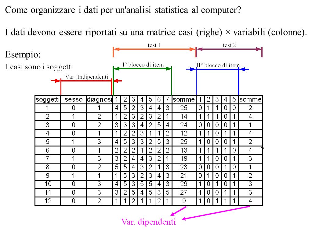 Come organizzare i dati per un analisi statistica al computer