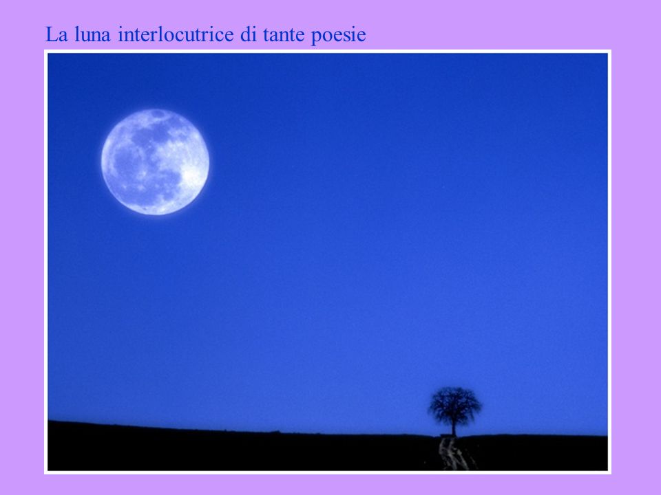 La luna interlocutrice di tante poesie