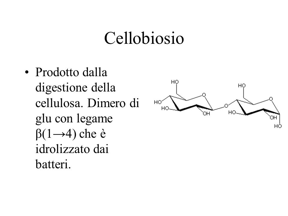 Cellobiosio Prodotto dalla digestione della cellulosa.