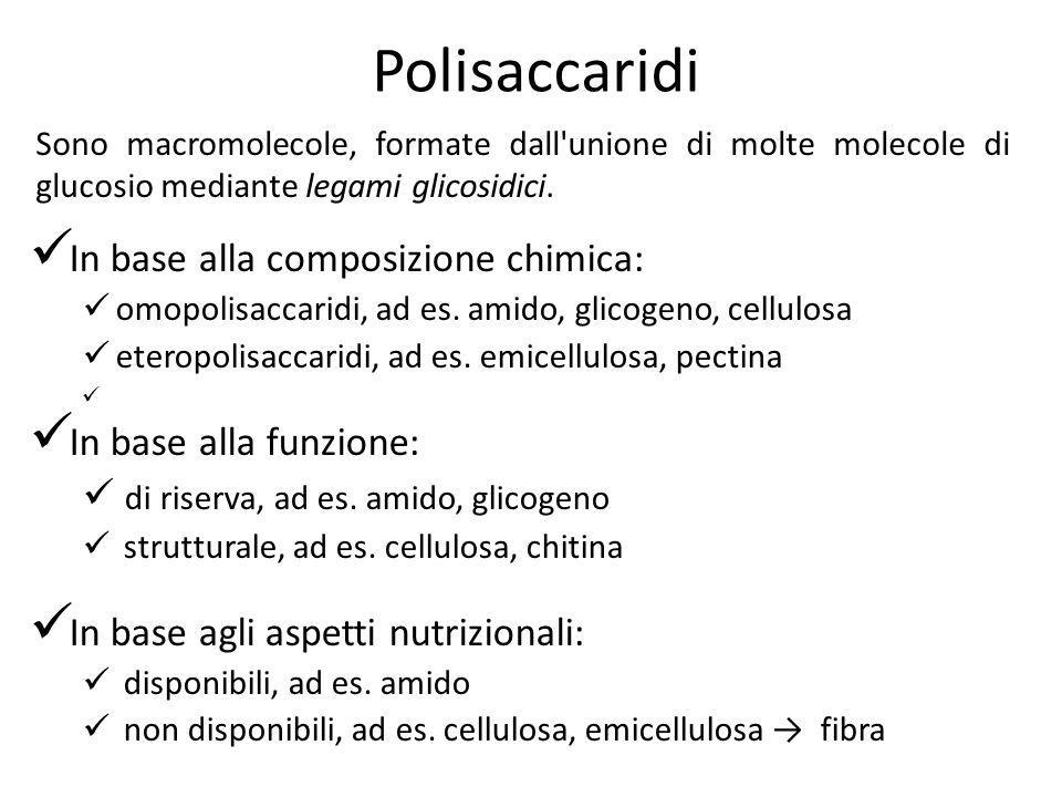 Polisaccaridi In base alla composizione chimica: