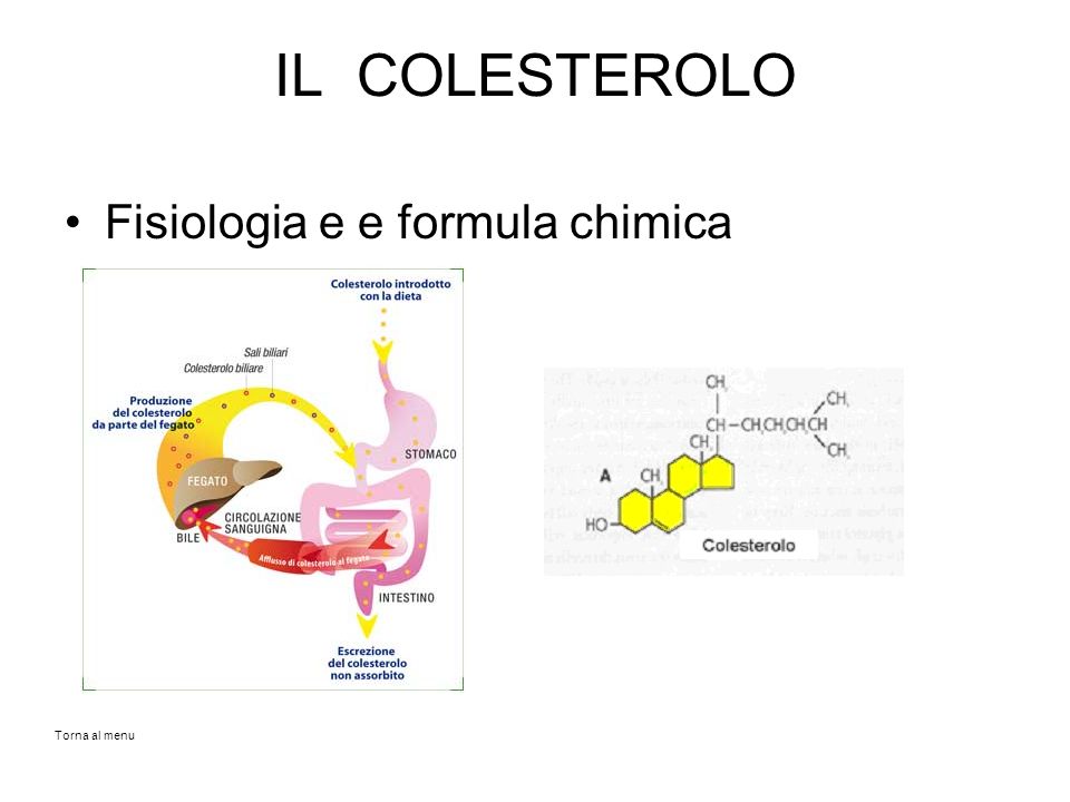 IL COLESTEROLO Fisiologia e e formula chimica Torna al menu
