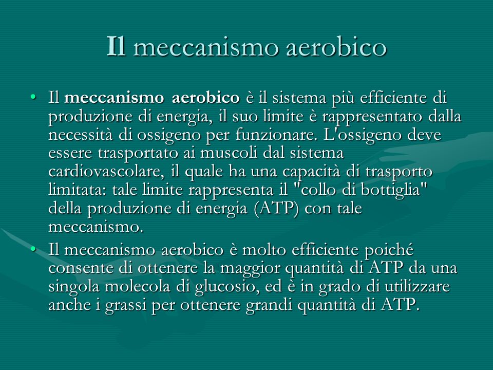 Il meccanismo aerobico