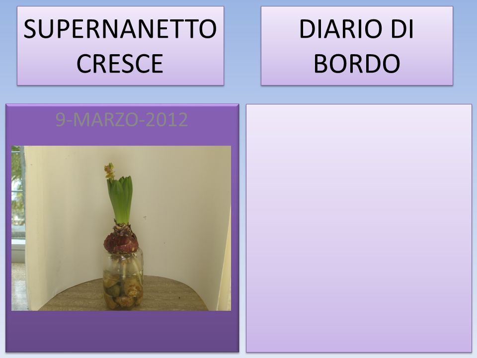 SUPERNANETTO CRESCE DIARIO DI BORDO 9-MARZO-2012