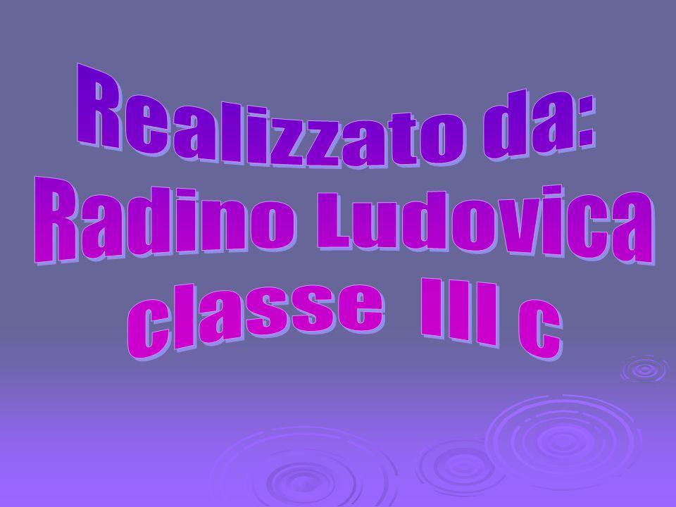 Realizzato da: Radino Ludovica classe III c
