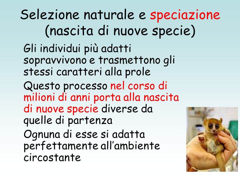 Selezione naturale e speciazione (nascita di nuove specie)