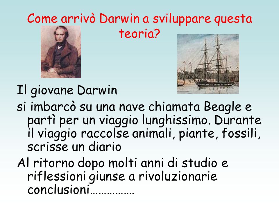 Come arrivò Darwin a sviluppare questa teoria