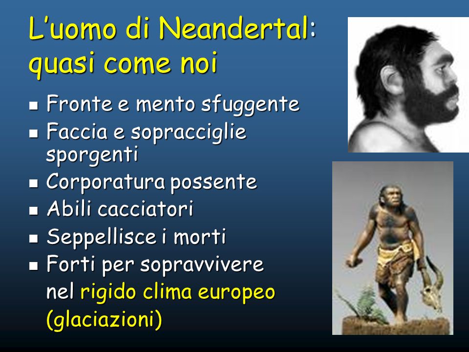 L’uomo di Neandertal: quasi come noi