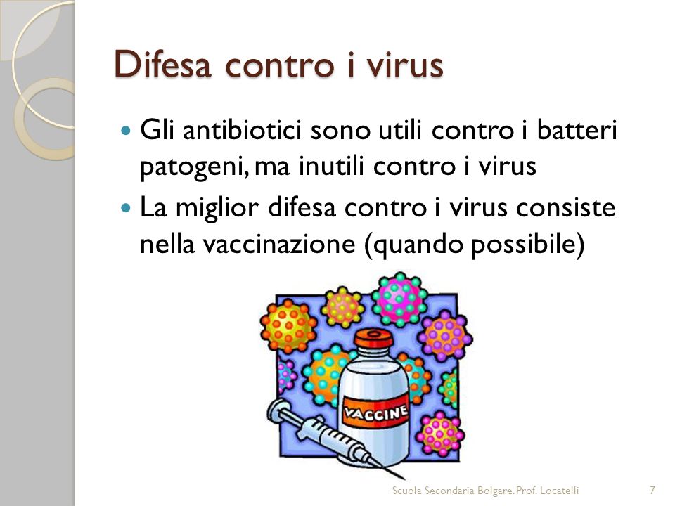 Difesa contro i virus Gli antibiotici sono utili contro i batteri patogeni, ma inutili contro i virus.