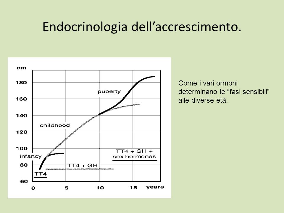 Endocrinologia dell’accrescimento.