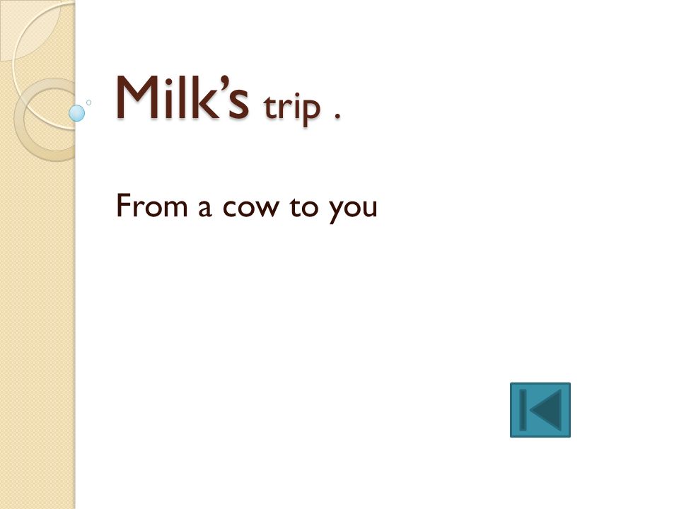 Milk’s trip . From a cow to you