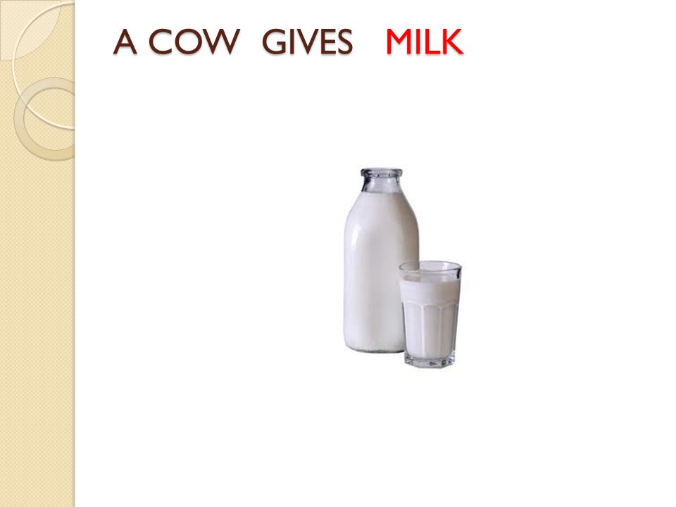 A COW GIVES MILK