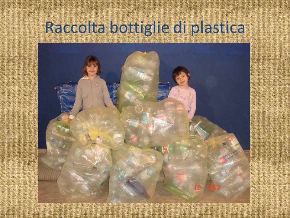 Raccolta bottiglie di plastica