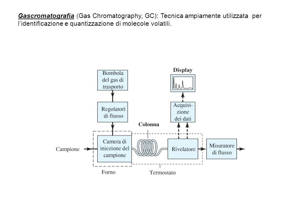 Gascromatografia (Gas Chromatography, GC): Tecnica ampiamente utilizzata per l’identificazione e quantizzazione di molecole volatili.