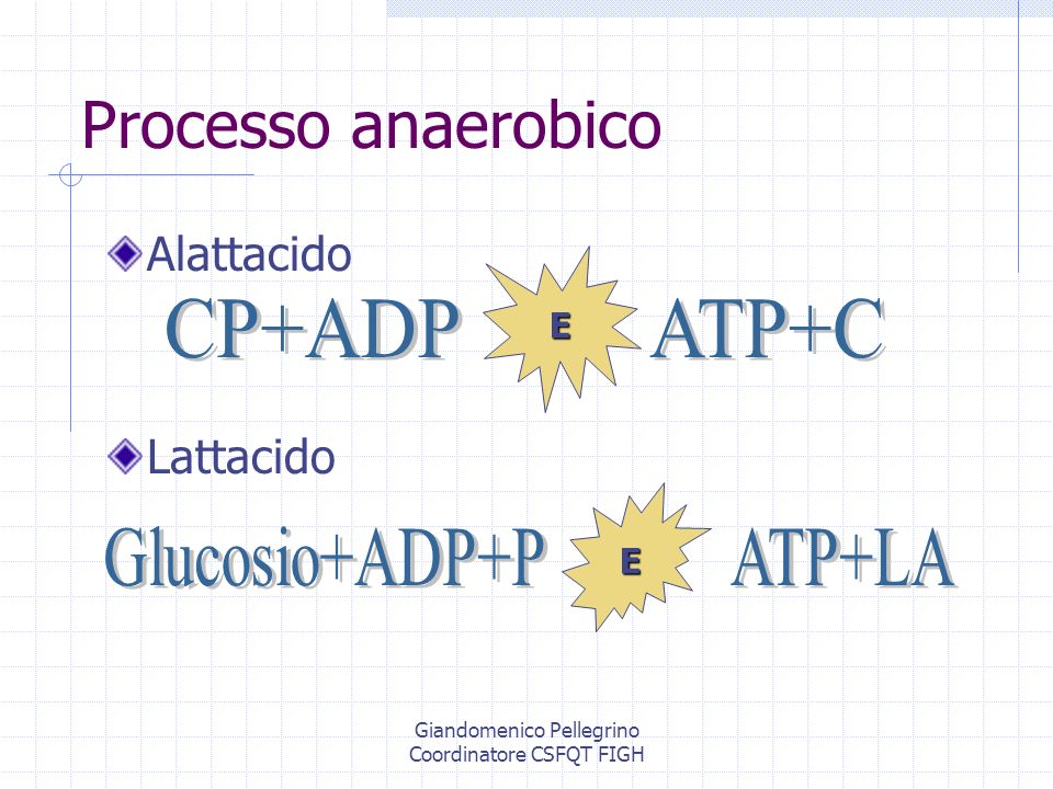 Processo anaerobico CP+ADP ATP+C Glucosio+ADP+P ATP+LA Alattacido