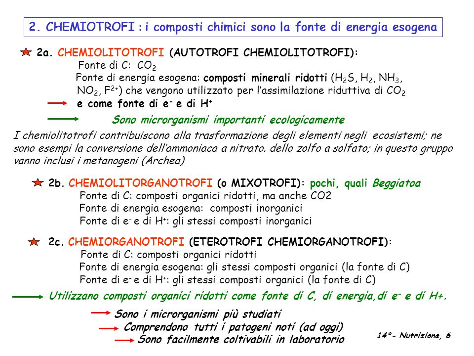 2. CHEMIOTROFI : i composti chimici sono la fonte di energia esogena
