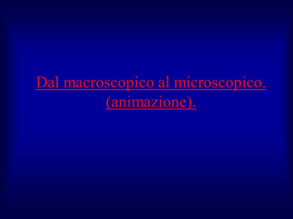 Dal macroscopico al microscopico. (animazione).