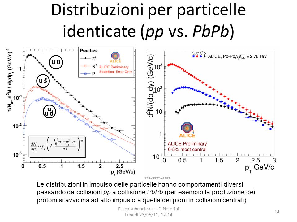 Distribuzioni per particelle identicate (pp vs. PbPb)