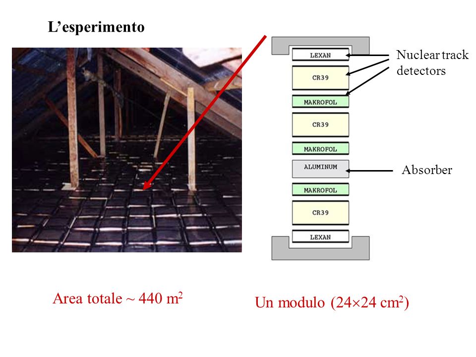 L’esperimento Area totale ~ 440 m2 Un modulo (2424 cm2)