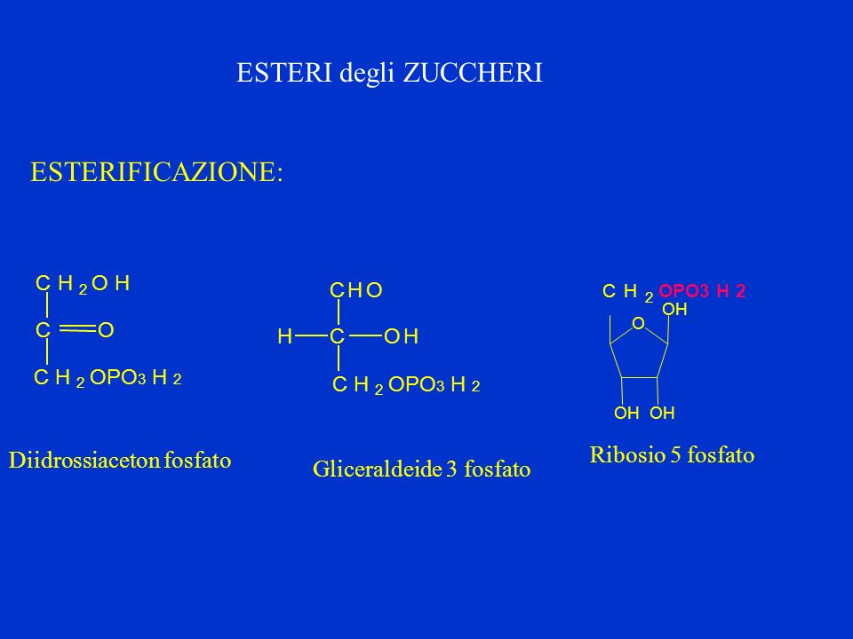 ESTERI degli ZUCCHERI ESTERIFICAZIONE: Ribosio 5 fosfato