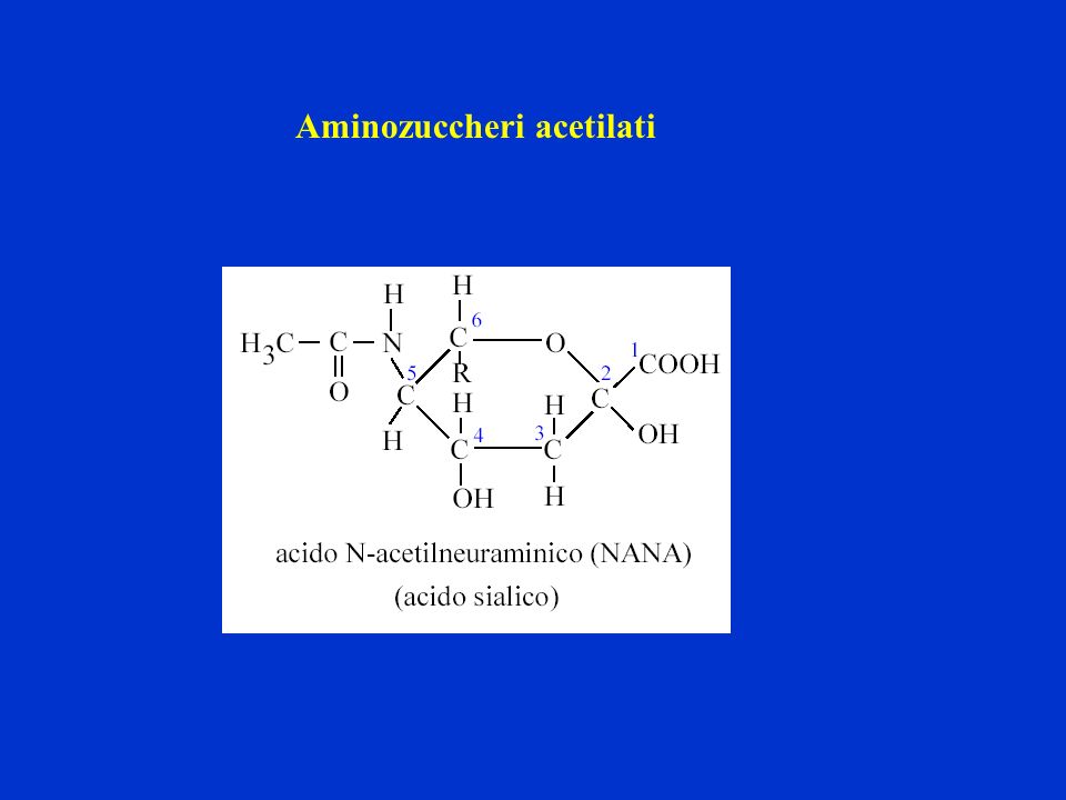 Aminozuccheri acetilati