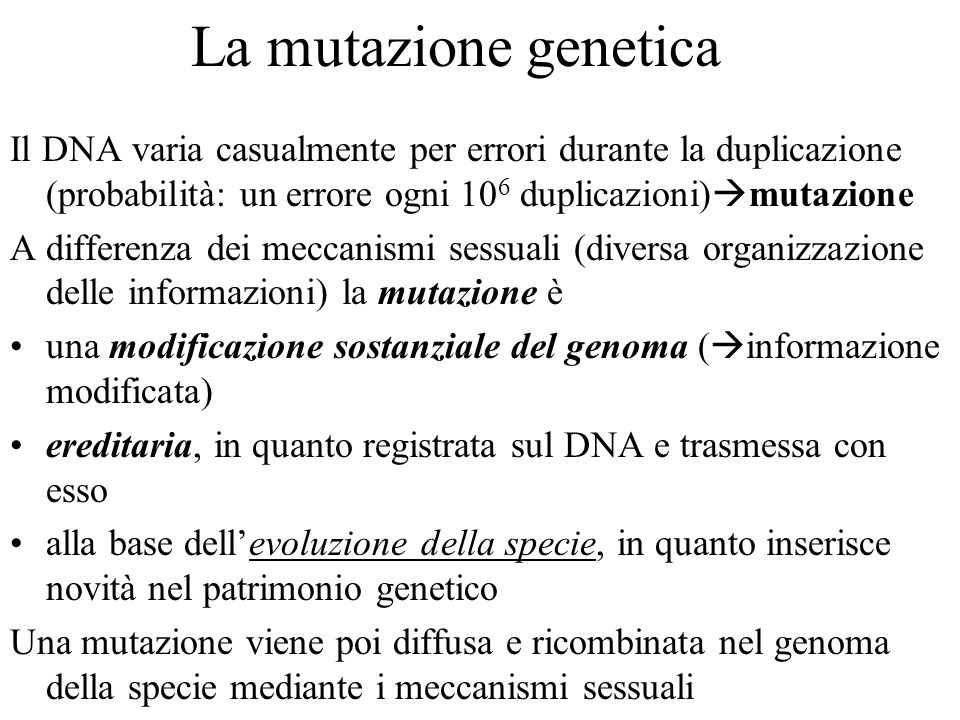 La mutazione genetica Il DNA varia casualmente per errori durante la duplicazione (probabilità: un errore ogni 106 duplicazioni)mutazione.
