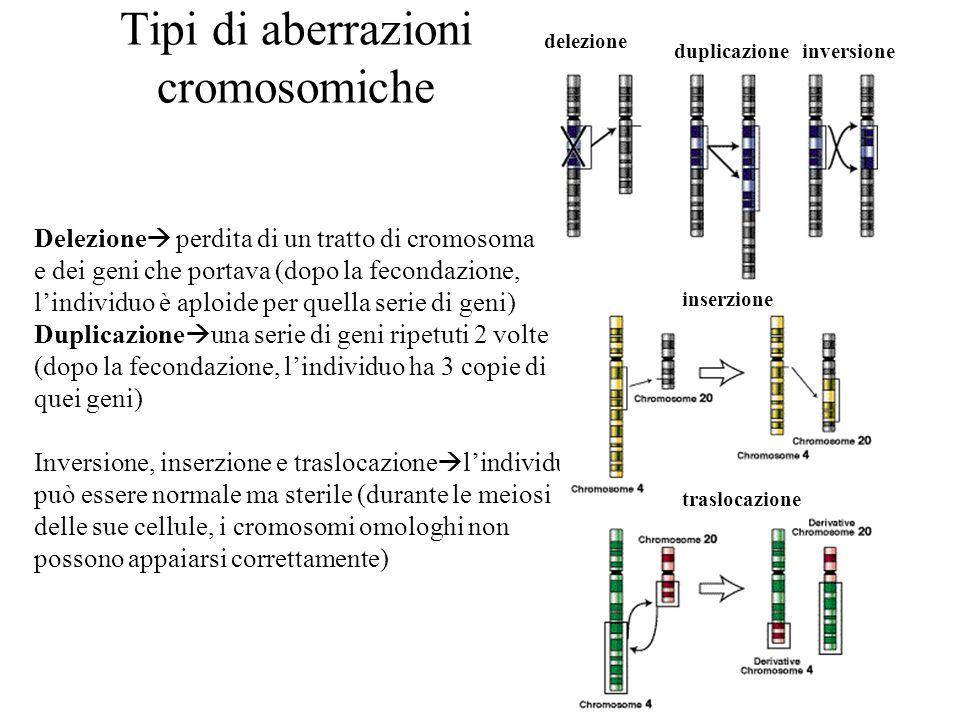 Tipi di aberrazioni cromosomiche
