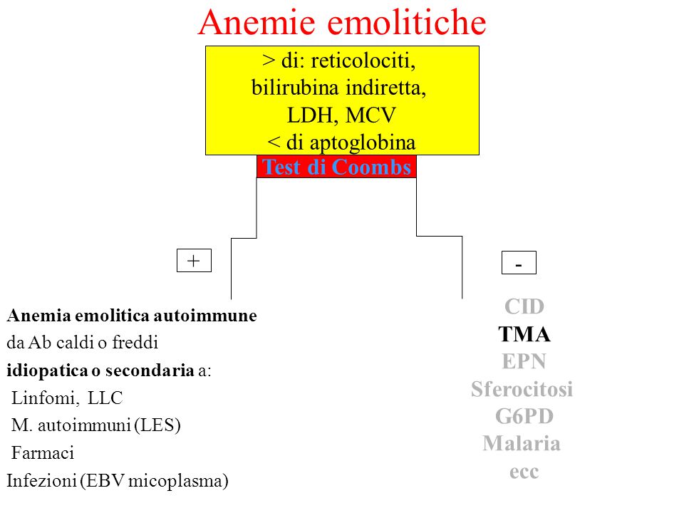 Anemie emolitiche > di: reticolociti, bilirubina indiretta,