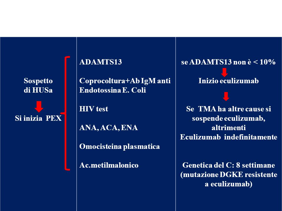 Coprocoltura+Ab IgM anti Endotossina E. Coli
