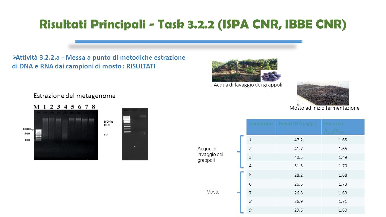 Risultati Principali - Task (ISPA CNR, IBBE CNR)