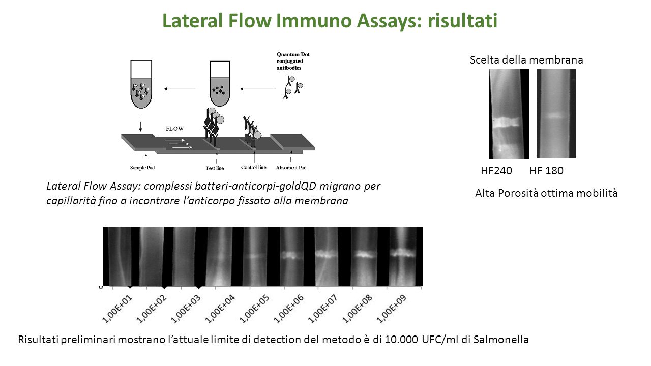 Lateral Flow Immuno Assays: risultati