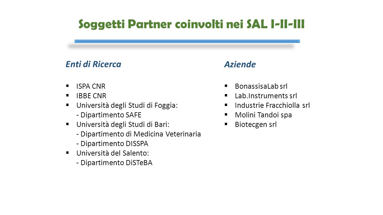 Soggetti Partner coinvolti nei SAL I-II-III