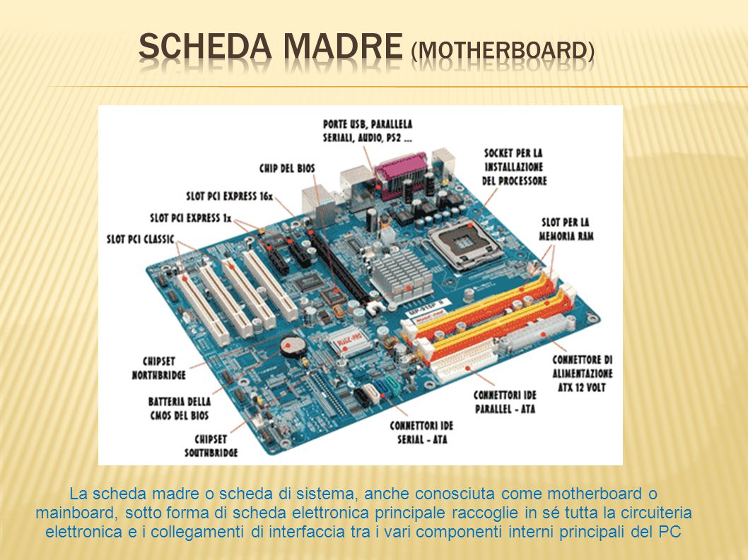 Scheda Madre (Motherboard)‏