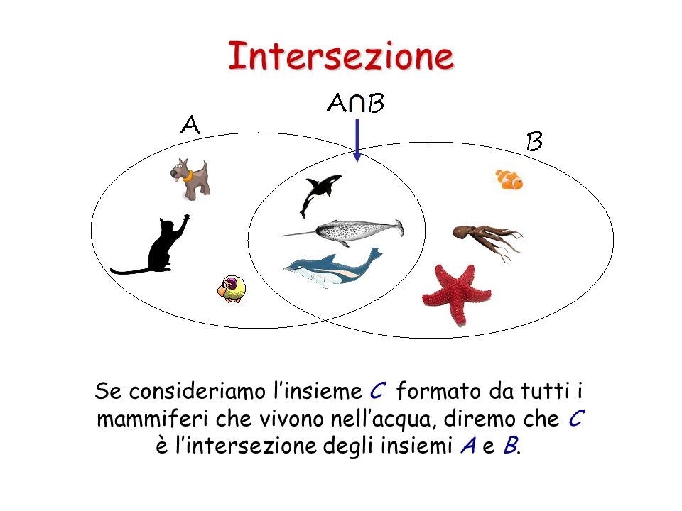 Intersezione Se consideriamo l’insieme C formato da tutti i mammiferi che vivono nell’acqua, diremo che C è l’intersezione degli insiemi A e B.