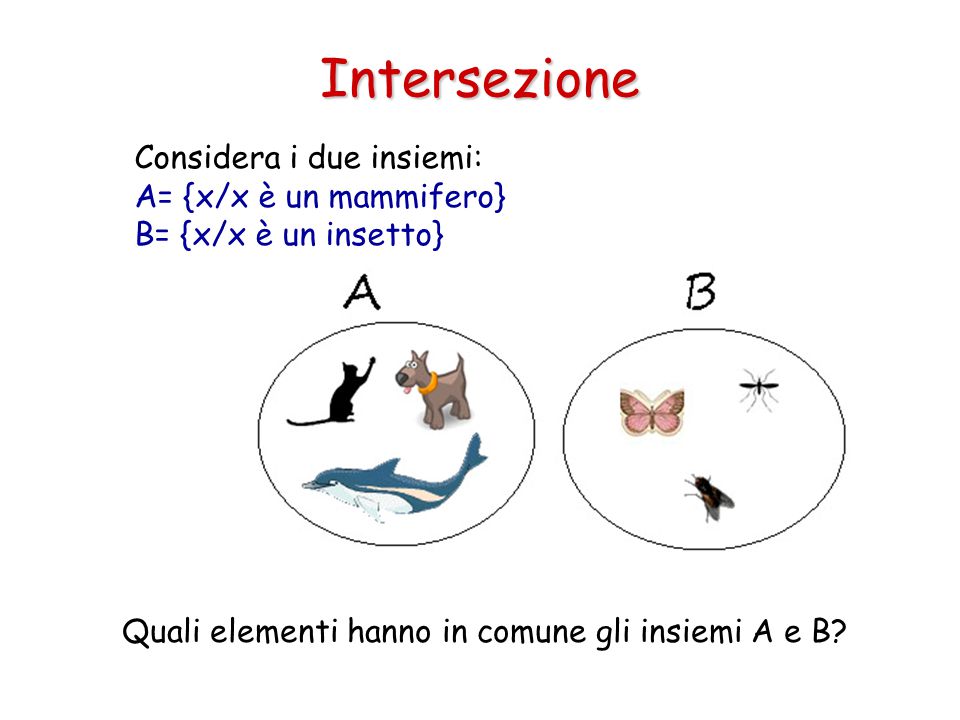 Intersezione Considera i due insiemi: A= {x/x è un mammifero}