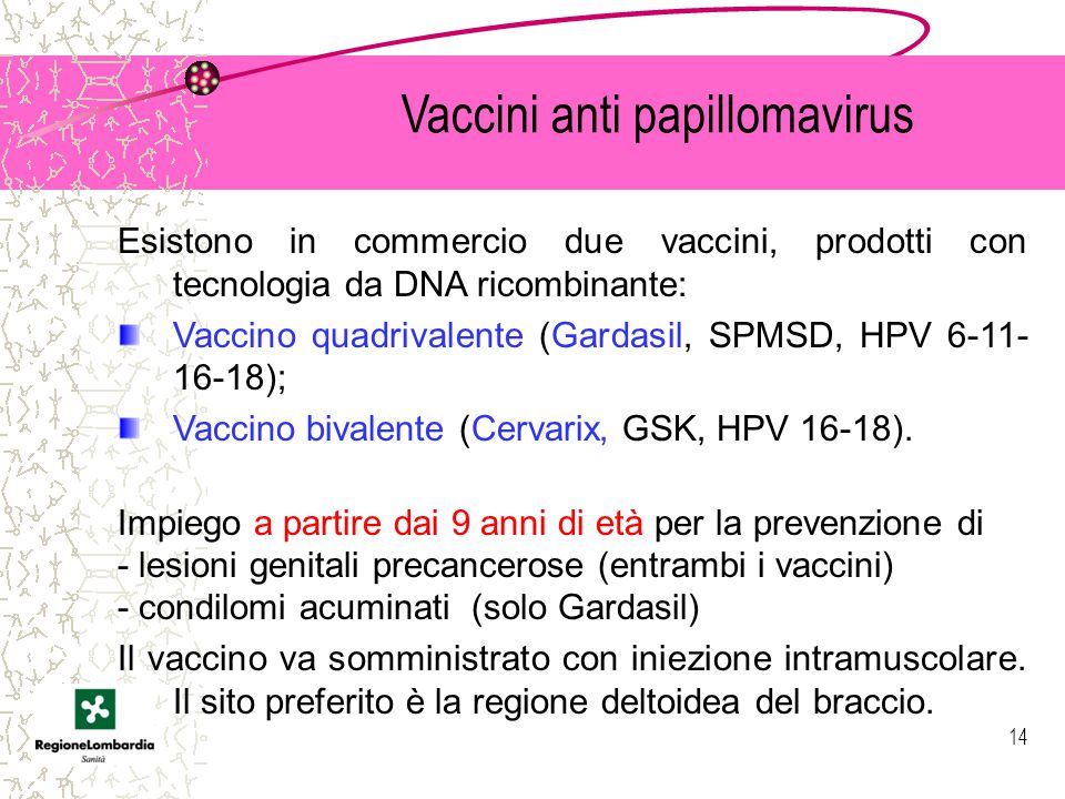 Vaccinazione papilloma virus maschi regione lombardia