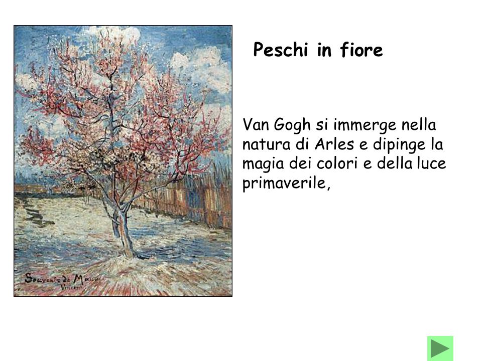 Peschi in fiore Van Gogh si immerge nella natura di Arles e dipinge la magia dei colori e della luce primaverile,