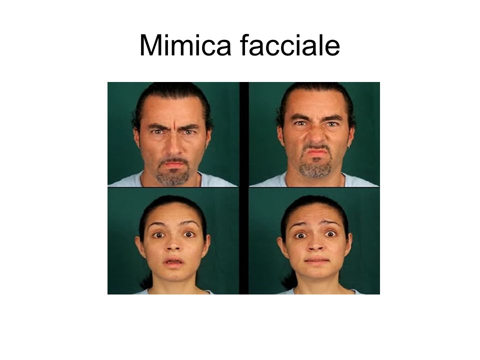 Mimica facciale