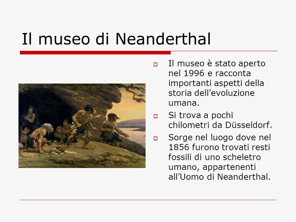 Il museo di Neanderthal