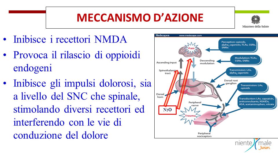 Il dolore procedurale: utilizzo della miscela protossido/ossigeno - ppt  scaricare