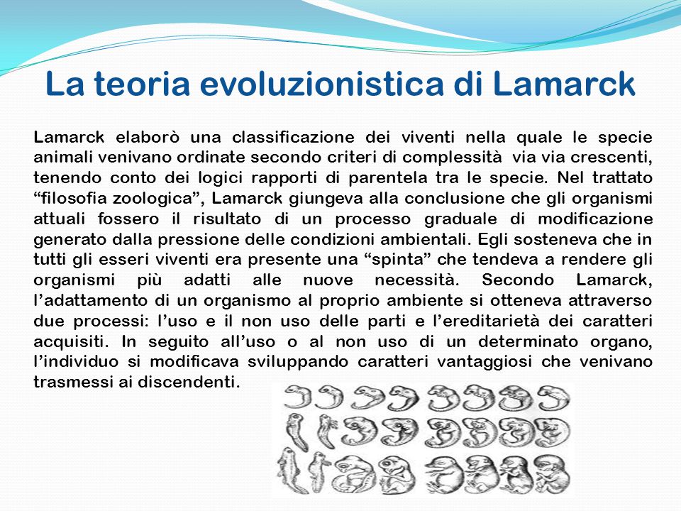 La teoria evoluzionistica di Lamarck