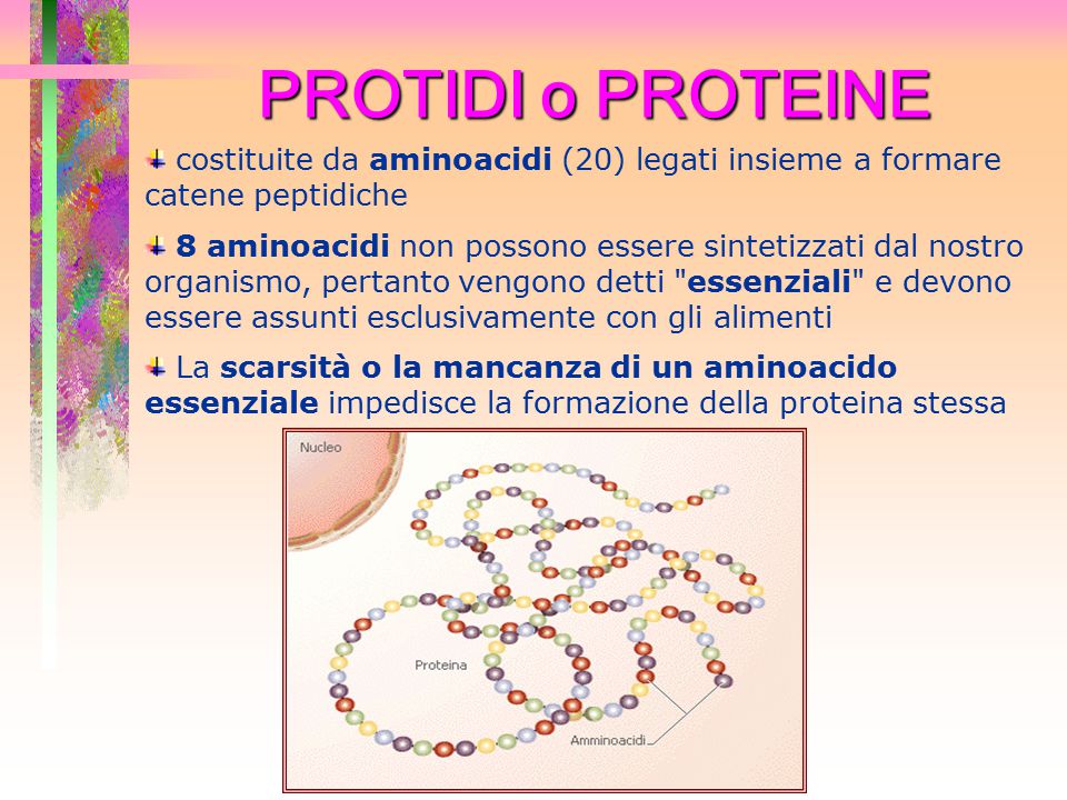 PROTIDI o PROTEINE costituite da aminoacidi (20) legati insieme a formare catene peptidiche.