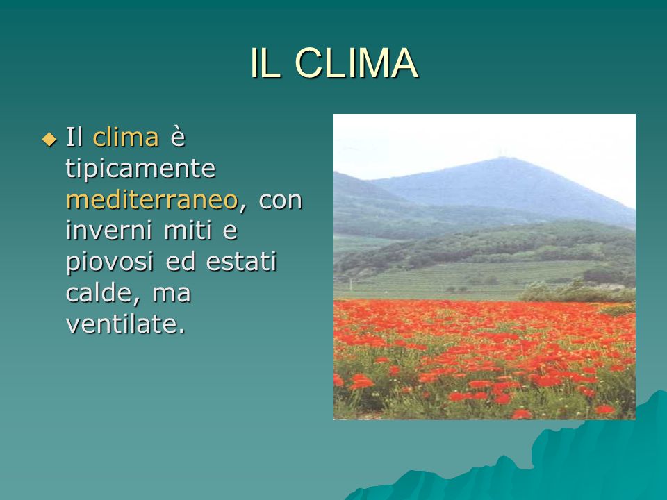 IL CLIMA Il clima è tipicamente mediterraneo, con inverni miti e piovosi ed estati calde, ma ventilate.