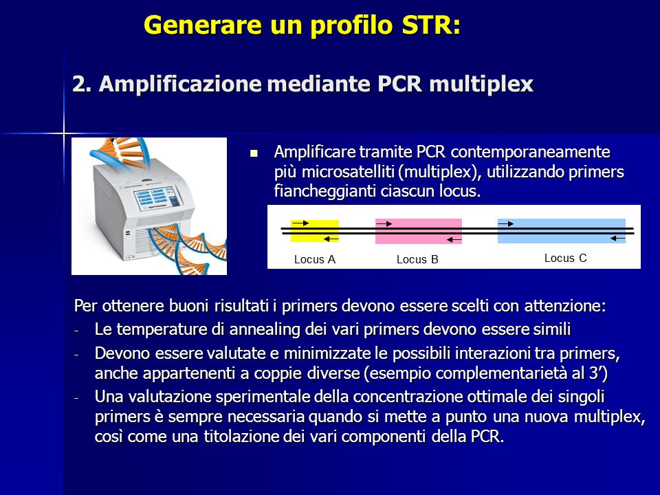 Generare un profilo STR: 2. Amplificazione mediante PCR multiplex