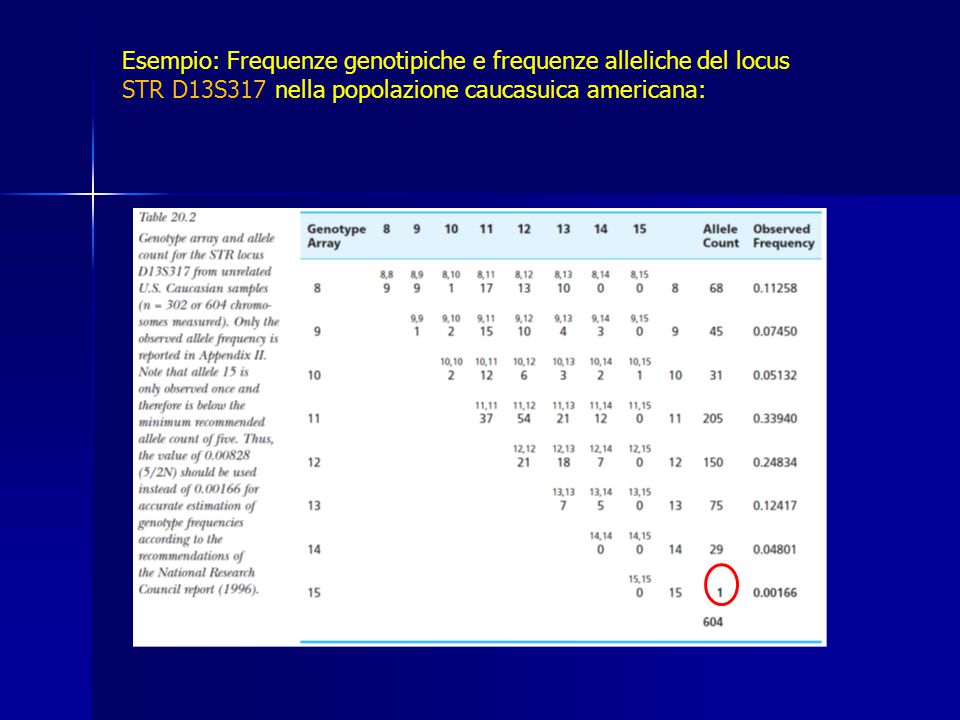Esempio: Frequenze genotipiche e frequenze alleliche del locus STR D13S317 nella popolazione caucasuica americana: