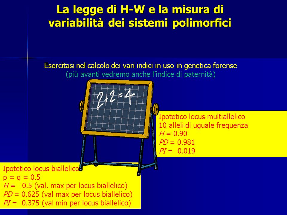 La legge di H-W e la misura di variabilità dei sistemi polimorfici