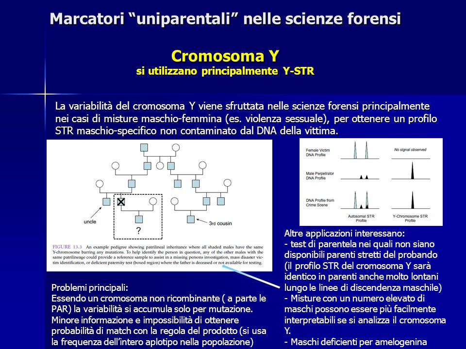 Marcatori uniparentali nelle scienze forensi Cromosoma Y si utilizzano principalmente Y-STR