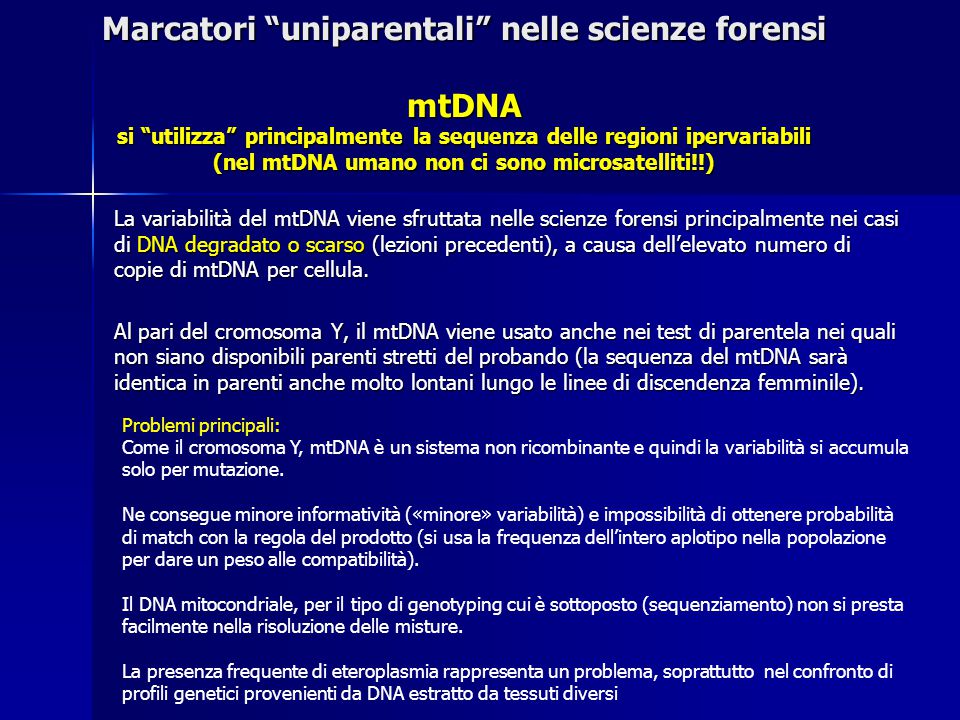 Marcatori uniparentali nelle scienze forensi mtDNA si utilizza principalmente la sequenza delle regioni ipervariabili (nel mtDNA umano non ci sono microsatelliti!!)